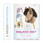 Preview: Kullaloo Hobby Horse "Holly" Nähanleitung und Schnittmuster